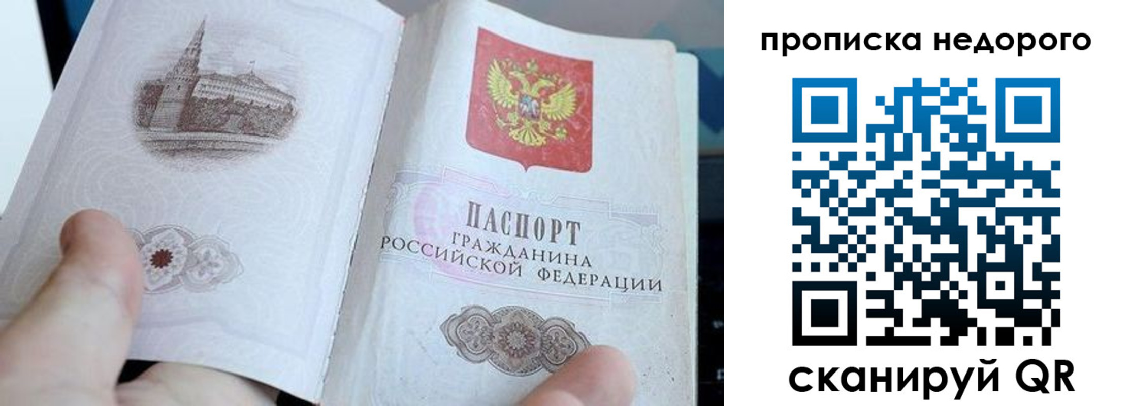 пропишу в квартире в Новом Осколе